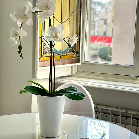 Mole Antonelliana Апартаменты Турин