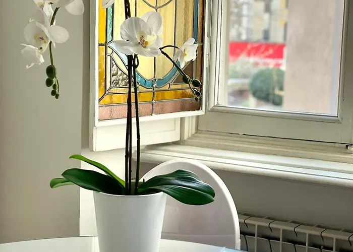 Mole Antonelliana Apartamento Turim